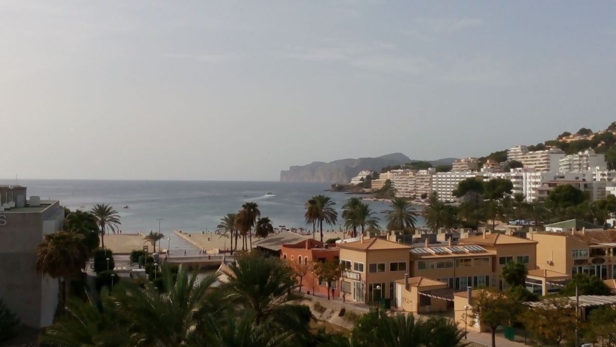 palma oct 16 001