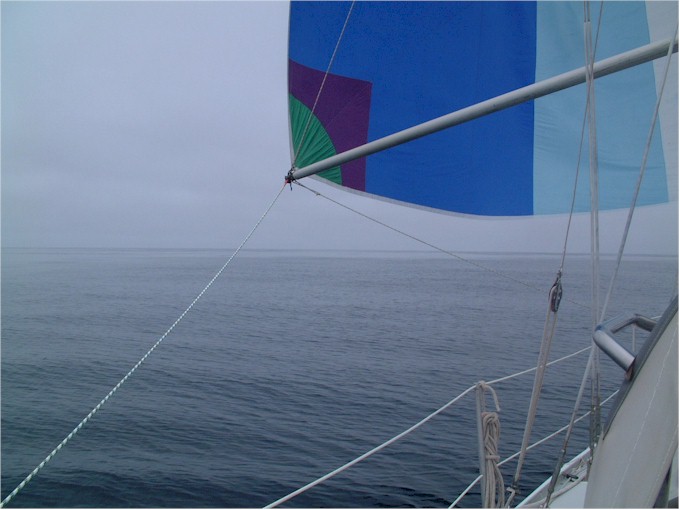 Sailing from Bermuda to Maine under spinnaker - but cold and foggy...