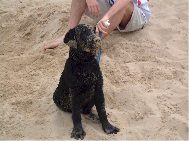 ... and Murphy!
