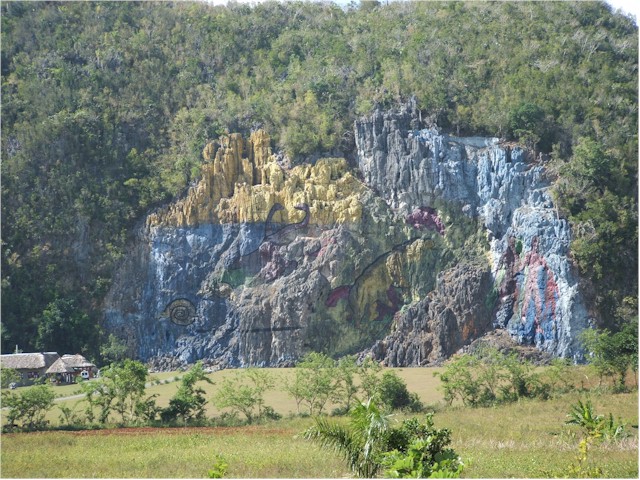 ...she helped us organise a car and driver to go to Vinales to get some money from a bank.
