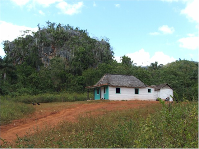 At the bank we met Roos and Vincent, a Dutch couple starting their cycling tour of Central America - they told us about an interesting walk through the Valle de Vinales...
