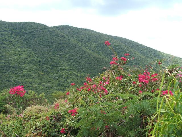 ... a lovely walk up to see the view.
