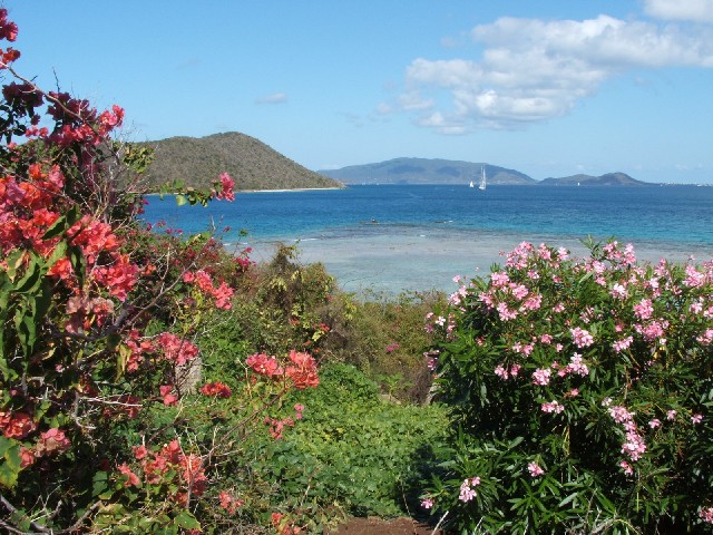 Marina Cay, Tortola...
