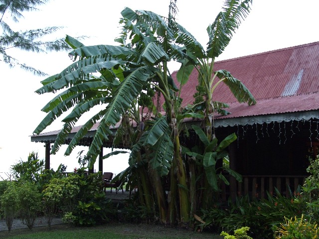 Buccament Bay on St Vincent...
