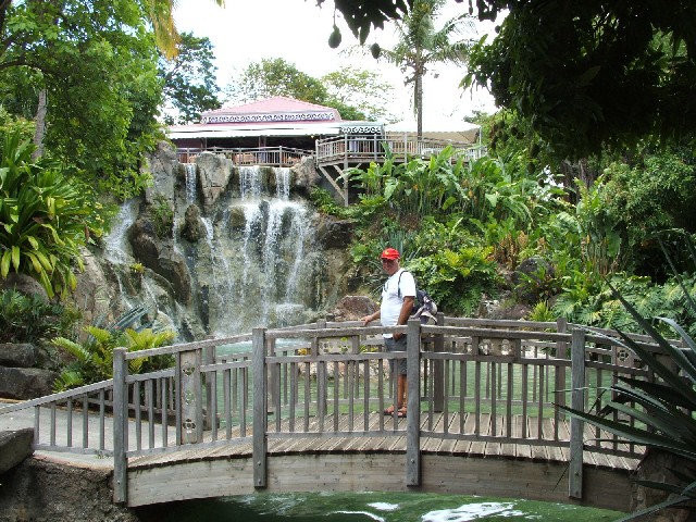 At the botanical gardens of Guadaloupe...
