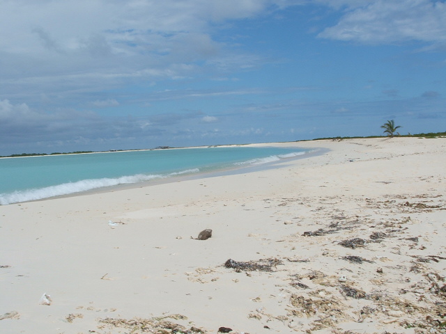Los Tortugas islands lie off the north coast of Venezuela.
