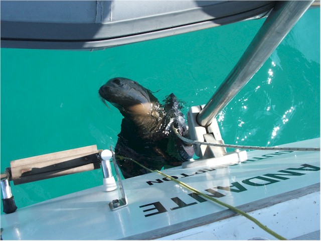 
... and playing off the stern of Poco Andante!
