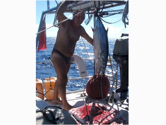 En route Marquesas to Tuamotus - a large tuna makes a mess of the deck!
