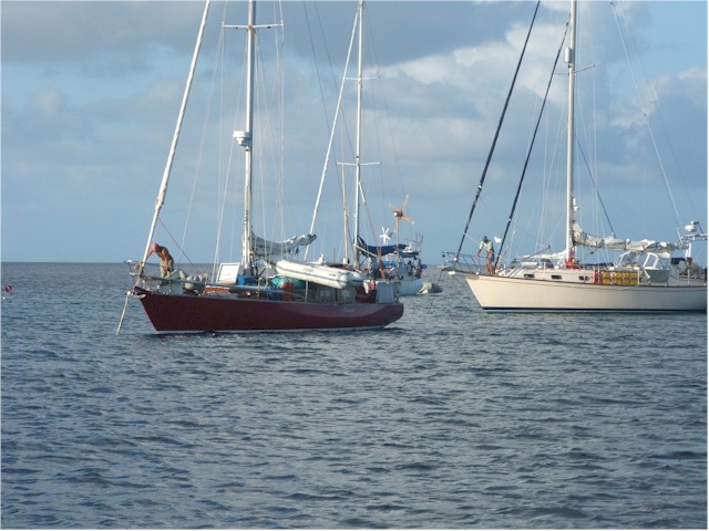 After bad weather, the anchor chains had wrapped around the coral bombies...
