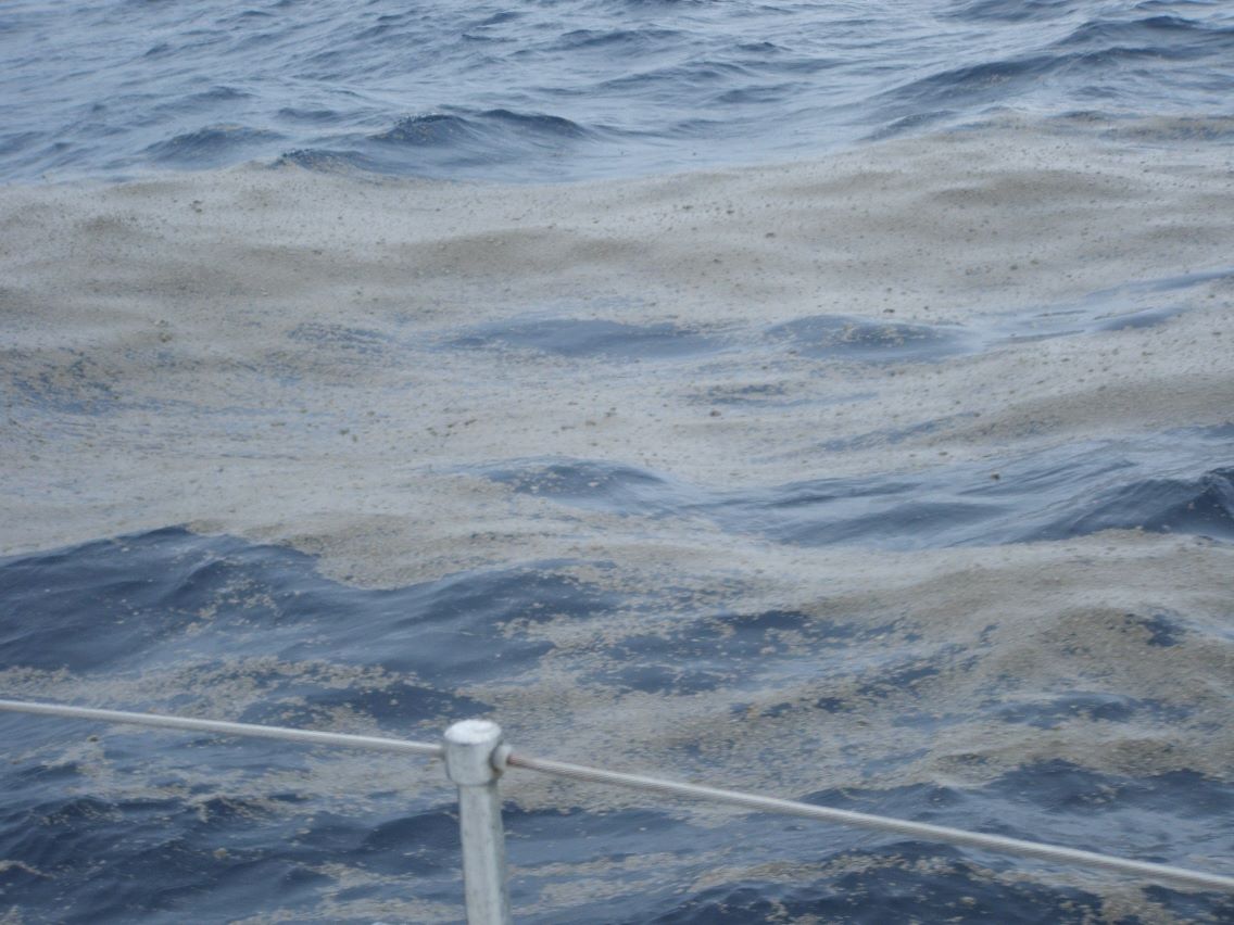
Volcanic activity causes a vast mass of pumice...