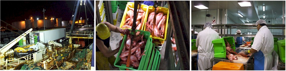 Keith's cost accounting project with Anton's Seafood required some hands-on observations!