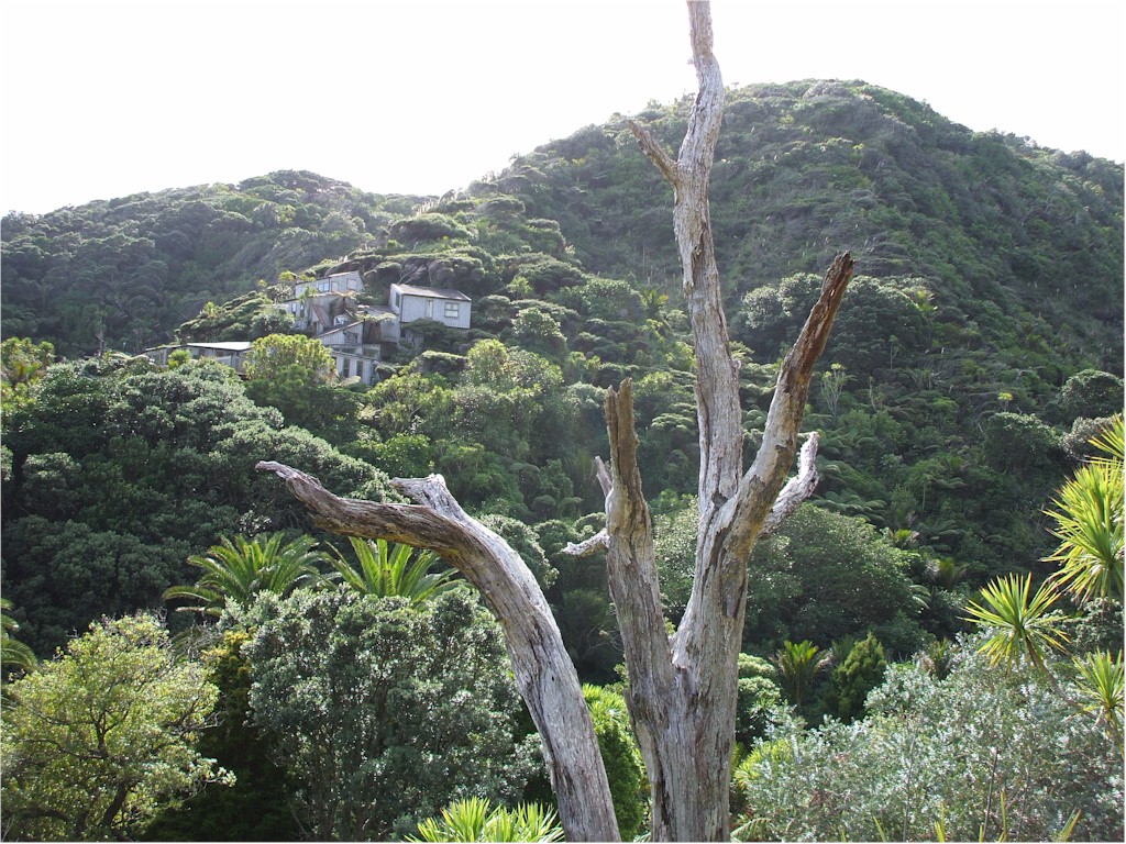 The Waitakere Ranges give a great view of Auckland City.