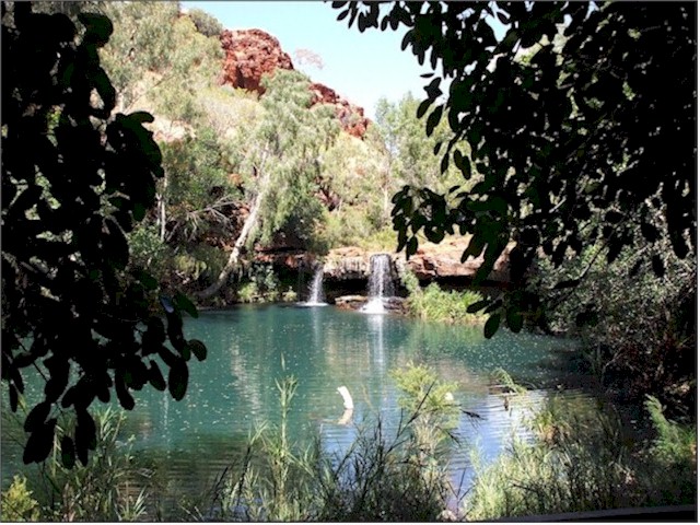 Fern Pool in the Karijini National Park is sacred to the aborigines - a really magical place.
