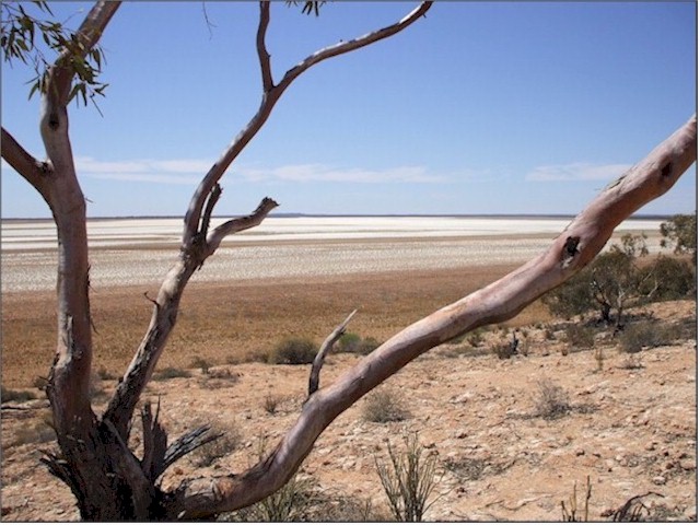 A vast salt lake - the air temperature was about 40°C in the shade.
