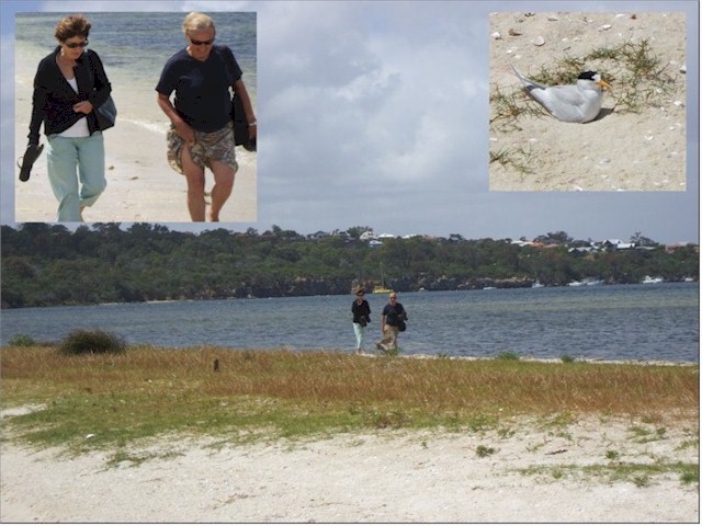 Point Walter with Joan Blakeway (and the nesting Fairy Terns).
