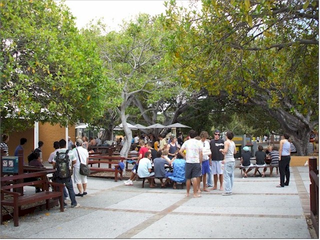 'Leavers Week' when the high school graduates chill out for a week or so after exams - party time on Rottnest!
