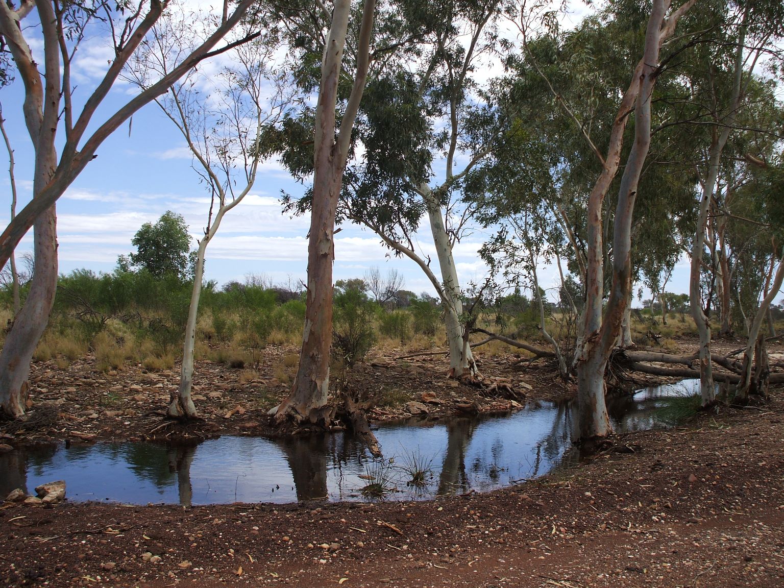 The Great Central Road - an real billabong!
