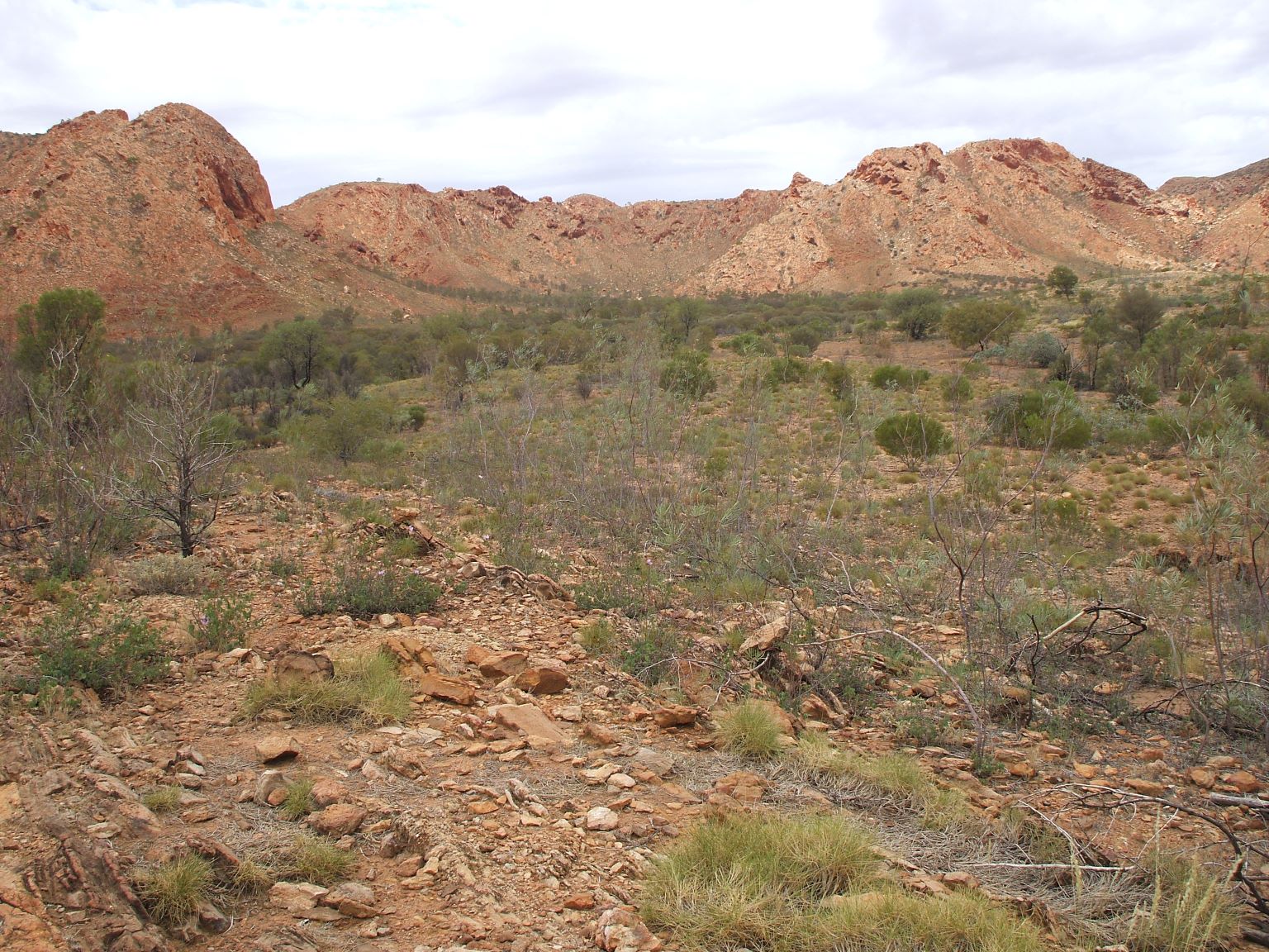 Gosse Bluff - site of a giant Comet crater.
