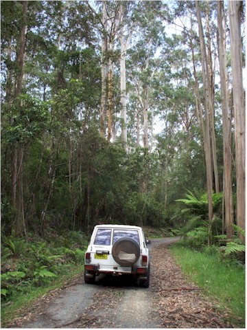 Off the coastal road into some of the National Parks.
