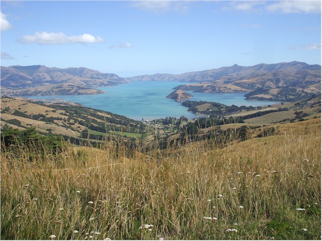 The Banks Peninsula surrounds another safe harbour.
