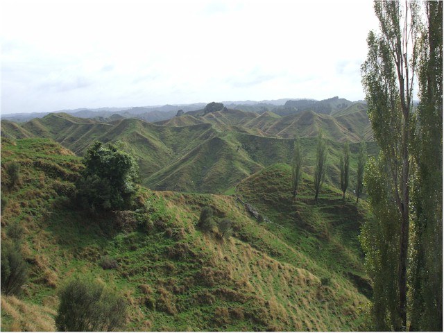 Geologically young hills - an amazing sight...