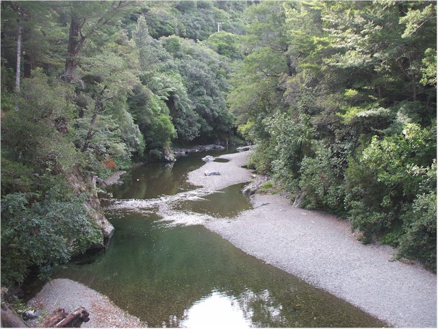 This site near Wellington featured in Lord of the Rings as Rivendell - beautiful!
