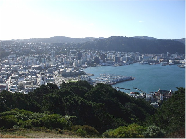 wellington 022
