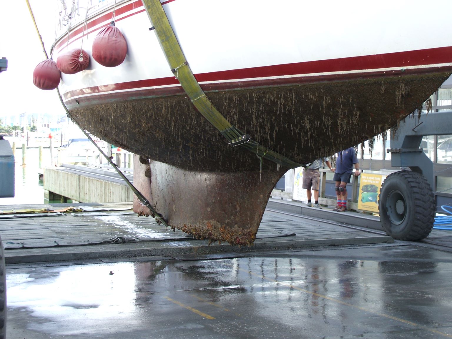 Poco Andante is hauled out - the bottom's not too bad, considering this is the first time in 4 years!