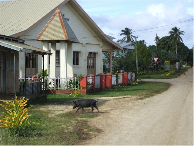 The main street of Pa'angai, capital of the Ha'apai group of islands...
