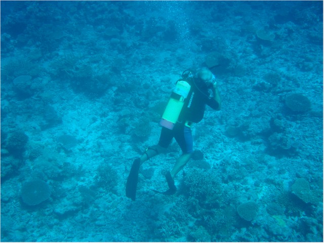 
These are Creola's underwater photos of the dives (Keith in view).
