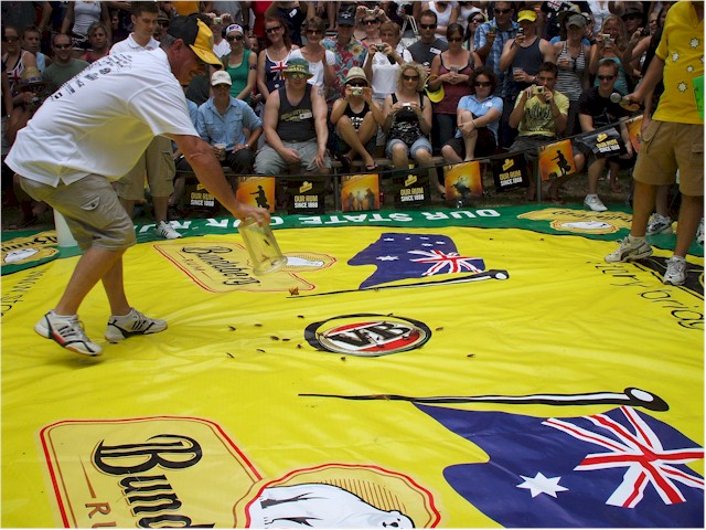 Back in Brisbane, we celebrate Australia Day 2009 - cockroach races at the Storey Bridge Hotel (just up the road from our marina).
