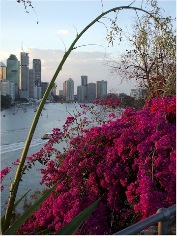 ...and the Bouganvillea adds to the colour.