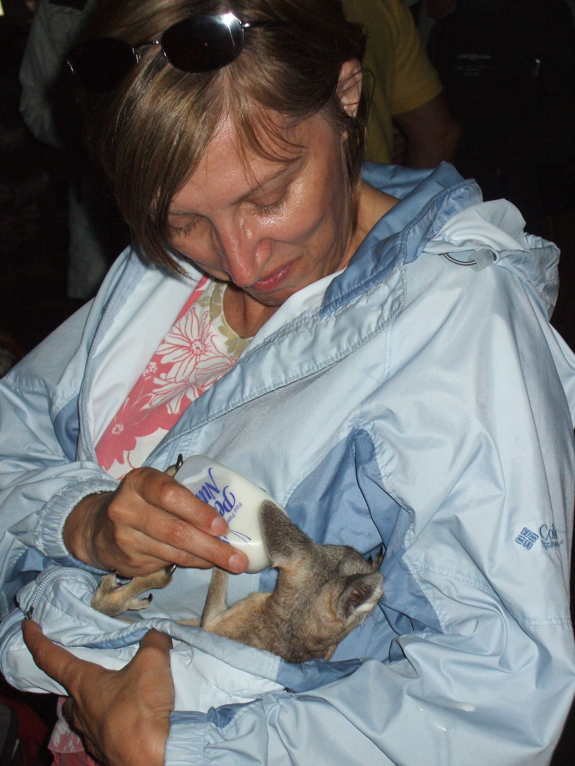 ... but actually dinner was the mother of this kangaroo joey, killed earlier that day. We didn't stay for dinner!
