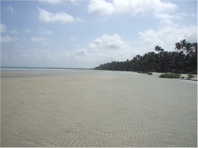 Indian Bay was a beautiful expanse of white sandy beach with delightful coconut palms to add to the attraction.
