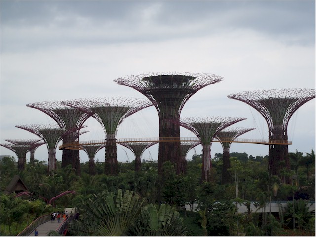 
... and these huge sculptured water lilies...