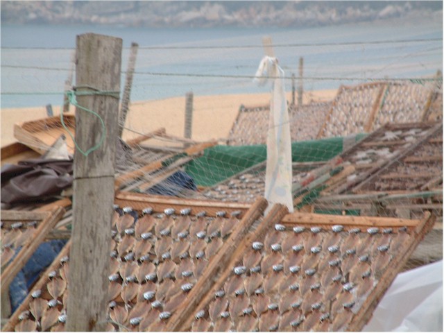 Nazare is famous for its sardines which are hung out to dry on frames on the beaches.