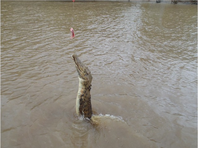 We did the tourist thing with the Jumping Crocodiles on the Adelaide River.