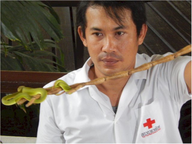 The handlers keep a very close eye on the particularly venomous and agile snakes!
