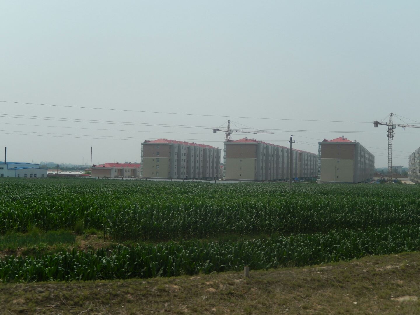 ... what appears to be new residential apartment blocks being built.
