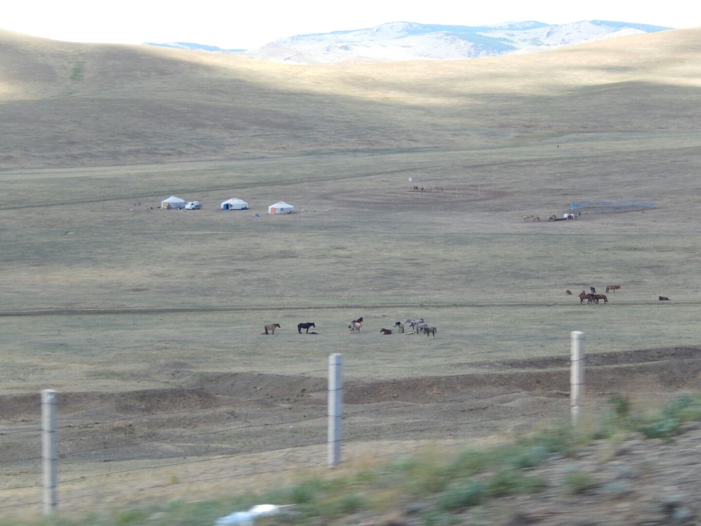 A herdsmen's camp on the edge of the Gobi Desert - complete with ger (portable round tent covered with felt and skins).
