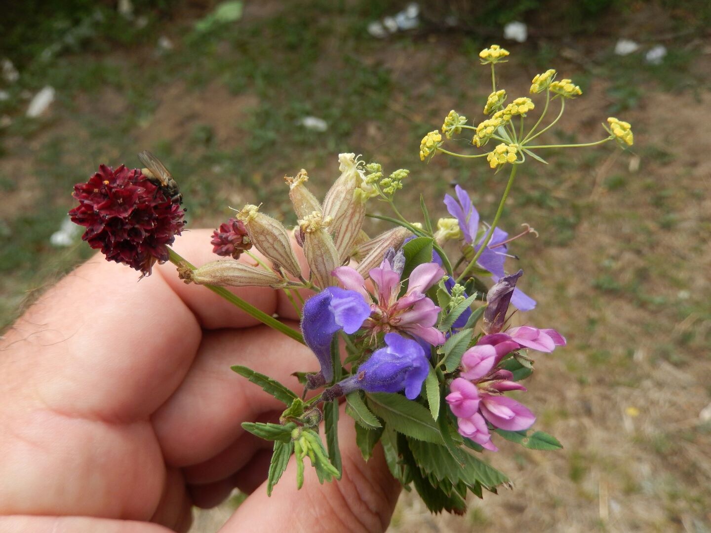 The wild flowers were pretty.
