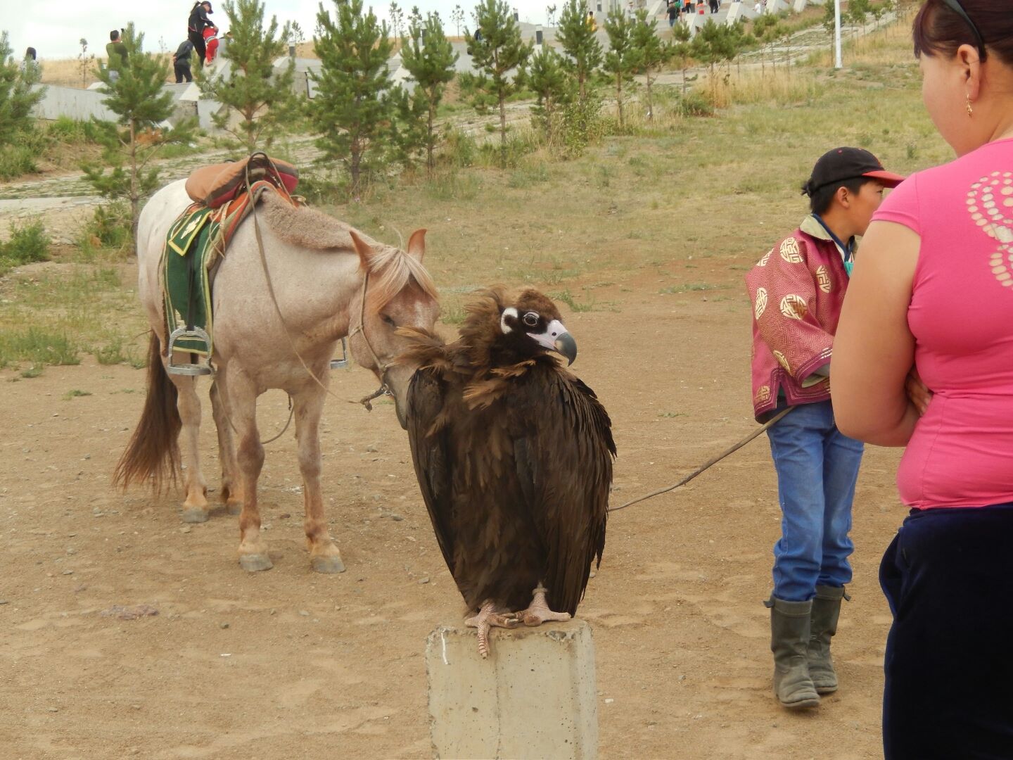 The Mongolians still use eagles to hunt prey...
