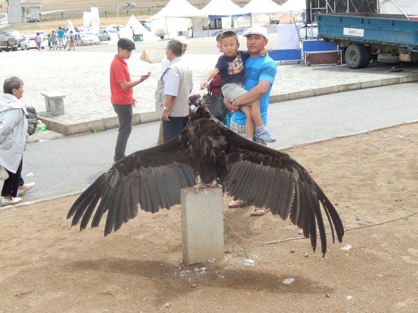 ... its wingspan was impressive.
