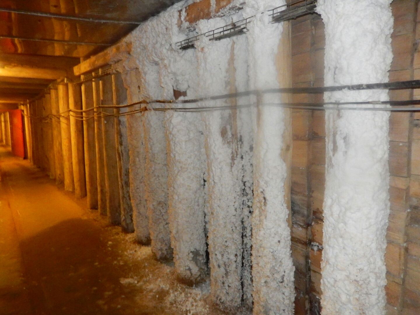 One of the tunnels...
