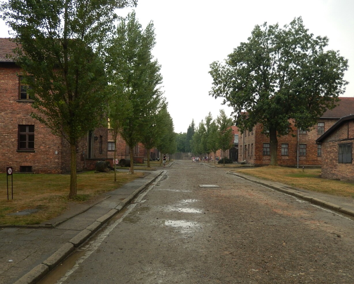 Endless rows of the barracks blocks...
