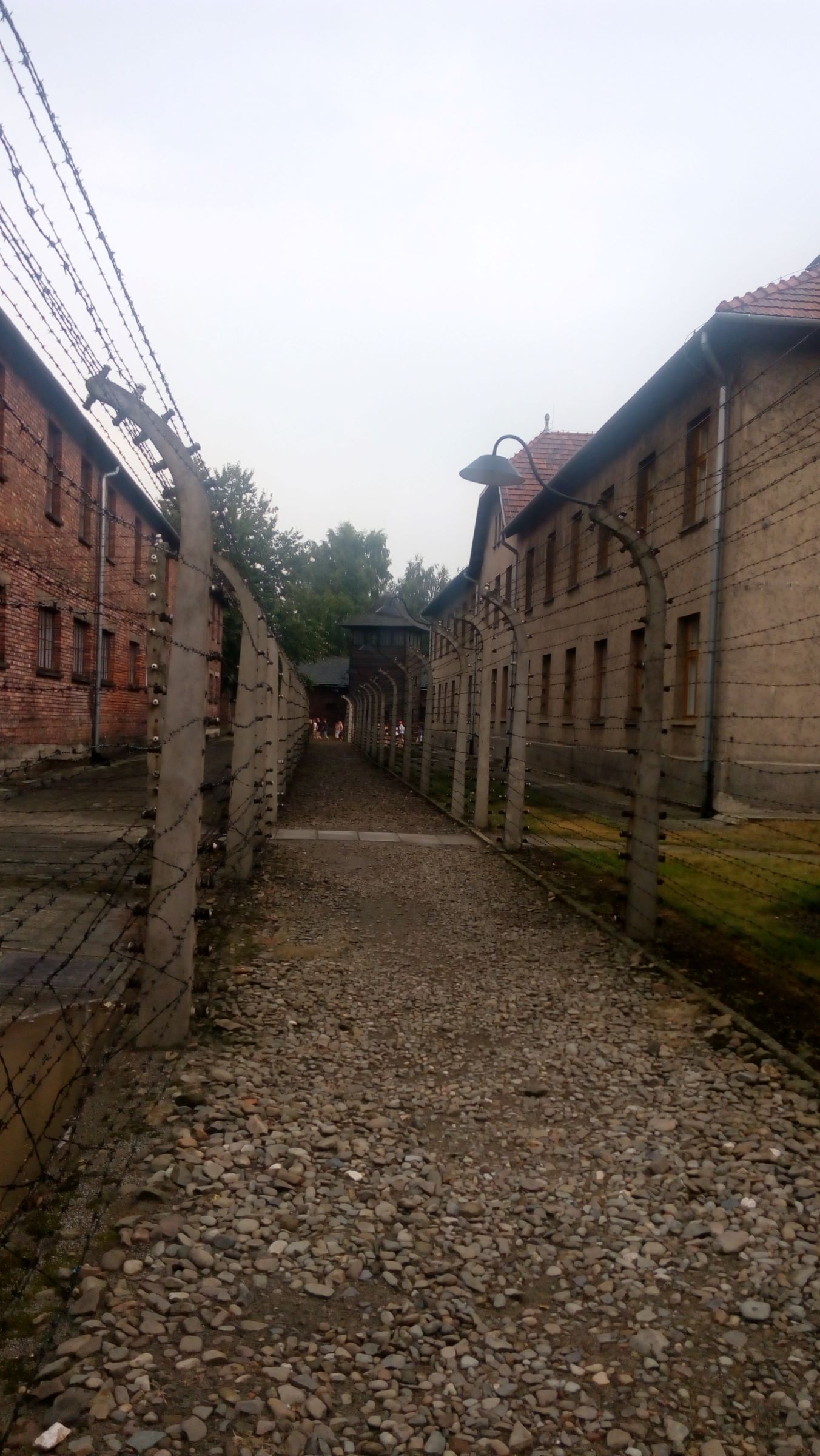 ... separated by electrified fences.

