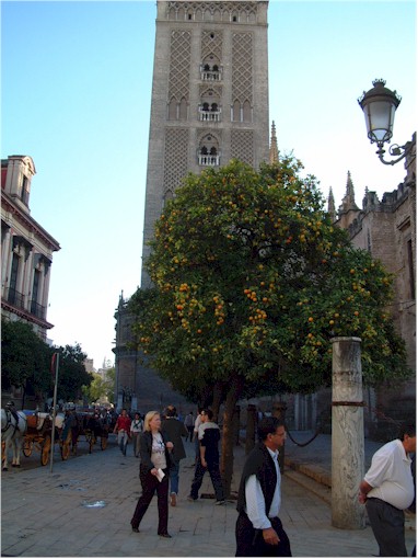... the amazing 'Giralda' (bell tower)...
