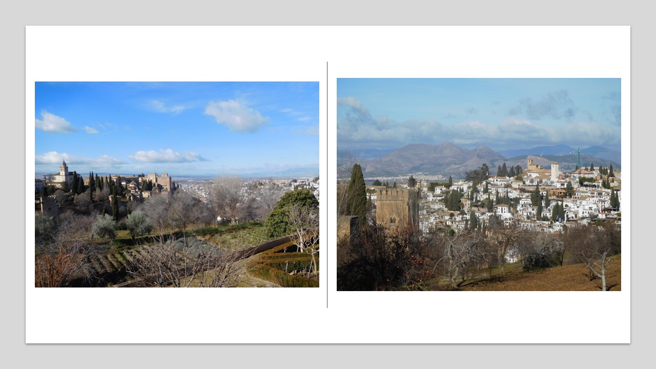 at the alhambra (6)