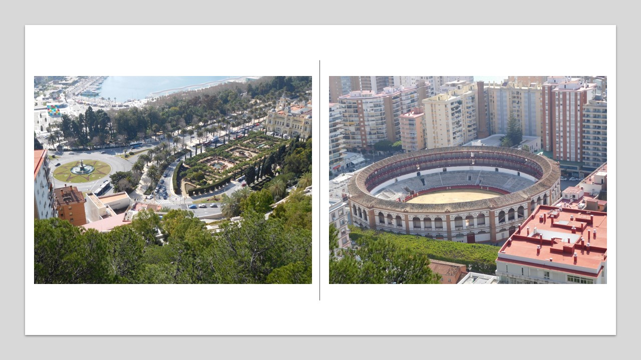 malaga (2)