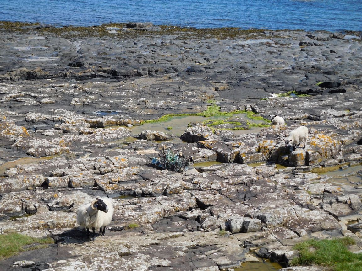 amble harbour (6)